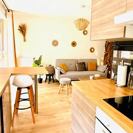 Bel Appartement Proche Parc & Lac Rennes Extérieur photo