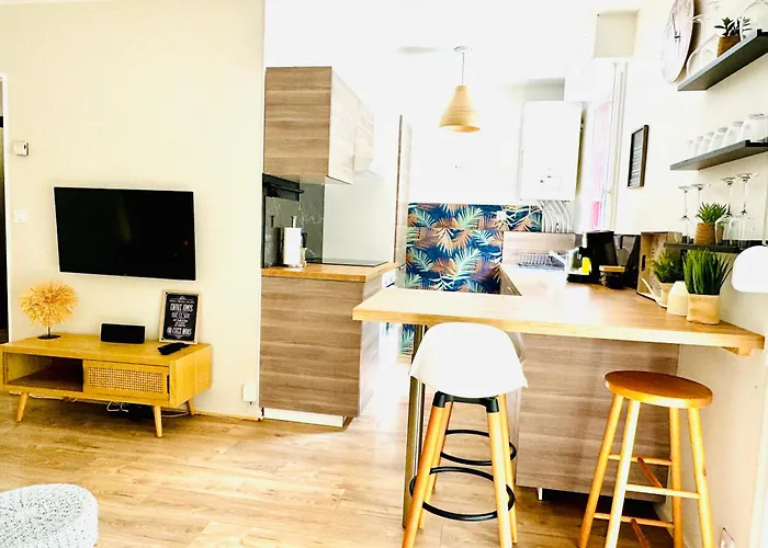 Bel Appartement Proche Parc & Lac